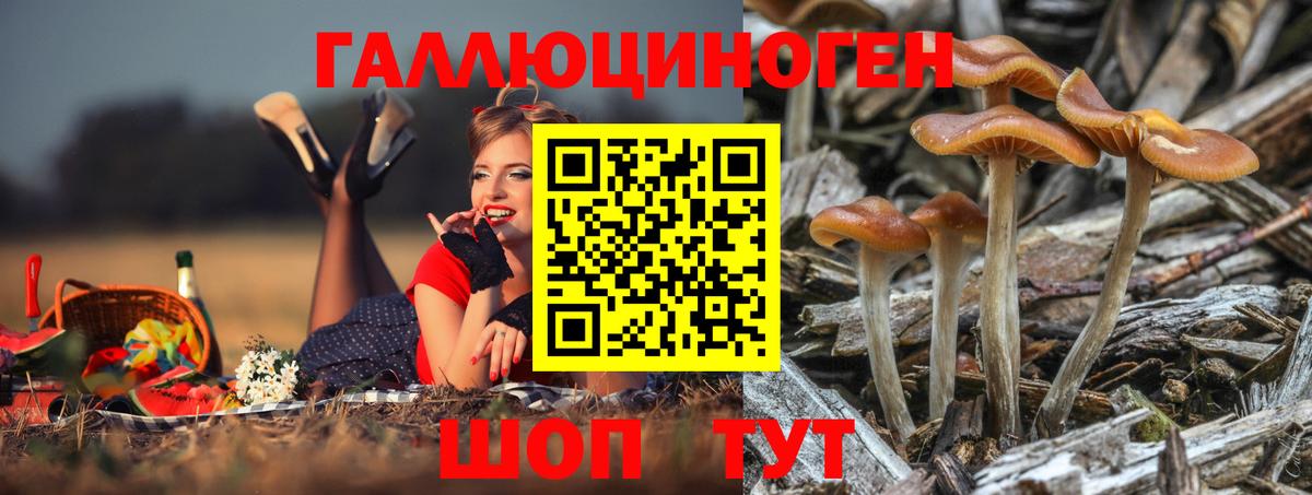Галлюциногенные грибы Psilocybe  Вход с VPN  Балашиха 